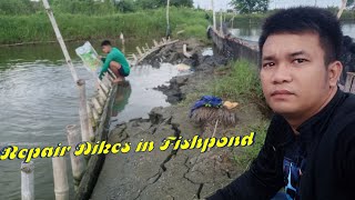 Repairing dikes in the fishpond [upl. by Job178]