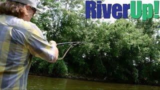 Fly Fishing the Huron Ypsilanti Michigan [upl. by Ltsyrk]