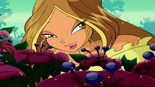 Winx Club  Heller als Licht Brighter than light Eng subs [upl. by Ainahtan850]