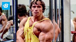 Best Bodybuilder of All Time  Arnold Schwarzeneggers Blueprint Training Program [upl. by Itin]