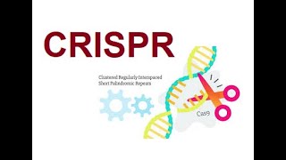 CRISPR  Clustered Regularly Interspaced Short Palindromic Repeats 2024 [upl. by Htrag90]