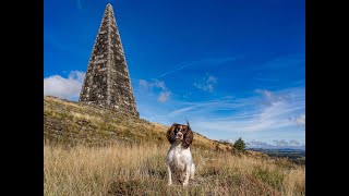 A walk to Neilson Monument near Ringford [upl. by Corydon543]