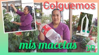 Como hacer macetas colgantes o porta macetas con botellas de plastico reciclaje ElJardinDeAnais [upl. by Gerhan191]