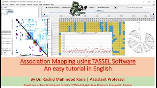 Association Mapping using TASSEL Software  An easy tutorial in English  By Dr Rashid M Rana [upl. by Waki]