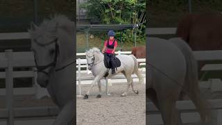 FINALLY RIDING AGAIN AFTER EXAM horse horsecommunity equestrian horseriding shorts horsesport [upl. by Quinby]