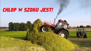 Kukurydza 2020URSUS POWER2x URSUS2x FENDT2x VALTRAJOHN DEERE [upl. by Kehr]