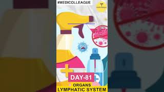 MEDICOLLEAGUE quotUnderstanding the Lymphatic System Key Organs and Their Functionsquot  science [upl. by Essie]