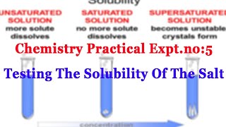 10th Science Chemistry Experiment TESTING THE SOLUBILITY OF THE SALT10th Science Practical Videos [upl. by Amyas]