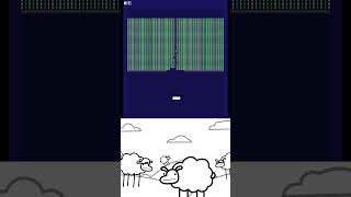 Please subscribe and share to let the sheep know who they are cute shorts प्यारा sheep memes [upl. by Kermit]