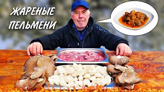 КУШАЕМ и СЛАВИМ  ЖАРЕНЫЕ ПЕЛЬМЕНИ по СИБИРСКИ с ПЕЧЕНЬЮ и ОВОЩАМИ в СКОВОРОДЕ на КОСТРЕ [upl. by Pliner297]