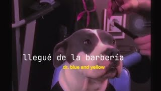 llegué de la barbería bonito y bello nuevecito de paquete [upl. by Leanna]