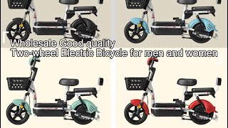 Wholesale good quality Twowheel Electric Bicycle for men and women [upl. by Mussman807]