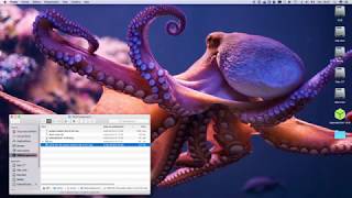 Comment installer et paramétrer octopi sur lAlfawise U20 [upl. by Bridwell]