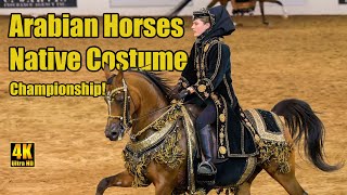 Purebred Arabian Native Costume Champ at Scottsdale Arabian Horse Show [upl. by Elenore]