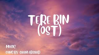 Tere Bin OST [upl. by Felton]