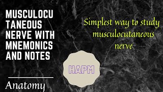 Musculocutaneous nerve with mnemonics and notes [upl. by Villiers]