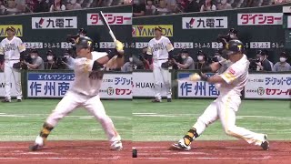 中村晃 ホームラン フォーム スロー【Akira Nakamura home run swing】 [upl. by Arnuad172]