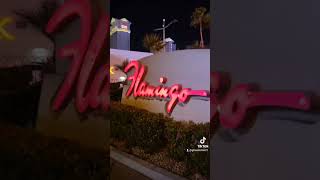 Lady Luck Sinatra style 🫦 vlog Vegas ladyluck trans RuPaul [upl. by Enrichetta]