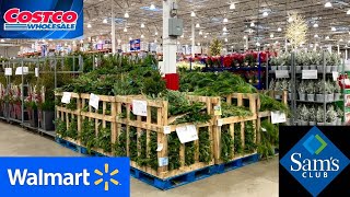 COSTCO SAMS CLUB WALMART CHRISTMAS DECORATIONS TREES DECOR SHOP WITH ME SHOPPING STORE WALK THROUGH [upl. by Margy]