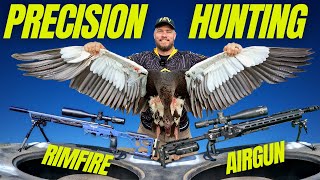 PRECISION HUNTING WITH AIRGUN AND RIMFIRE I AIRGUN AND RIMFIRE COMPARISON PT1 [upl. by Noek]