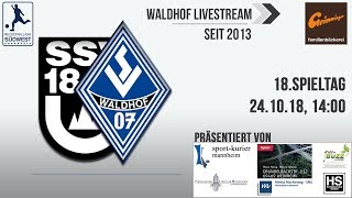 18Spieltag SSV Ulm  SV Waldhof [upl. by Agnola803]