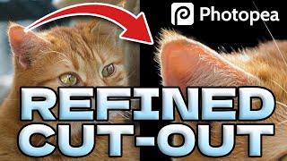 How to Refine Cut outs on Photopea using Refine Edge [upl. by Clynes]