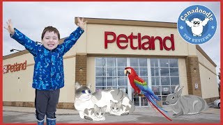 Petland Family Fun Trip Animals for Kids and Toddlers Kittens Hamsters Canadoodle Toy Reviews [upl. by Namad221]