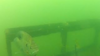 GoPro Fishing Rig with footage [upl. by Ahsatak597]