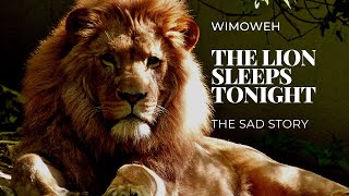 Wimoweh The Lion Sleeps The sad story [upl. by Nemad]