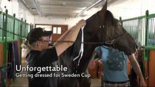 Elitloppet 2012 The Saturday Part 1 [upl. by Lainad841]