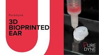 3D Bioprinted Ear [upl. by Elleirua]