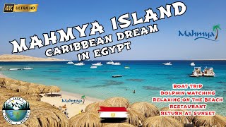 MAHMYA Island  Paradise Beach of Giftun Island  Red Sea  Egypt [upl. by Aserehc]