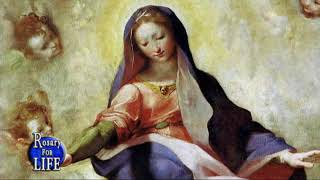 Rosary for Life  The Luminous Mysteries [upl. by Morgana]