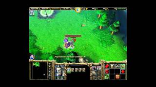 Lets Play Warcraft III Deutsch Teil 20 quotIns Elfenlandquot [upl. by Talbot]