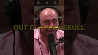 Elon Tells Rogan What Car to Buy  Joe Rogan [upl. by Gibbeon]