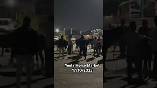 Yeola Horse Market 1710 horse trending viral 2023 [upl. by Ahsenat]