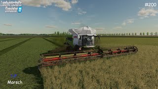 LS22NFMARSCH 4FACHVermehrungsgras ernten und Gras sammeln200 FS22 [upl. by Amy]