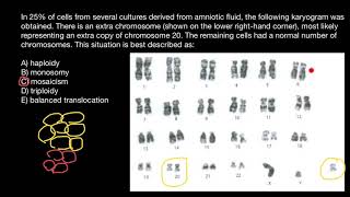 Haploidy Monosomy Mosaicism Trisomy Balanced translocation explained [upl. by Wilhelmine]