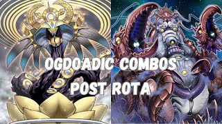 Ogdoadic Combo Guide Post Rage Of The Abyss  Play Through Multiple Handtraps [upl. by Lorne]