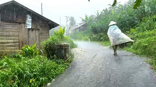 Heavy rain strong winds in the villageIndonesian rural atmosphererain video [upl. by Lennor]