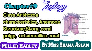 Ch9 Class Anthozoa characteristics Anemone StructureStony coral polyp octacorallian coral [upl. by Oak781]