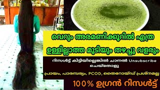 എത്ര ഉള്ളില്ലാത്ത മുടിയും 30മിനിറ്റിൽ തഴച്ചു വളരുംറിസൾട്ട്‌ കിട്ടിയില്ലെങ്കിൽ ചാനൽ Unsub ചെയ്‌തോളൂ [upl. by Arua]