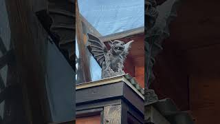 “Gargoyle” gargoyle october halloween freerverse poetry [upl. by Davida589]