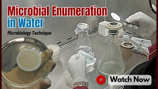 Water Testing Methods MacConkey Agar Membrane Filtration amp WFI Analysis  Microbiology Laboratory [upl. by Alacim]