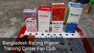 Racing pigeon training Pigeon treatments [upl. by Rimidalv]