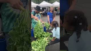 gardenoftreatz str8juice homestead farmersmarket bgsu [upl. by Ytirahc]