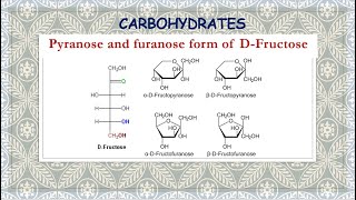 Pyranose and furanose form of DFructose [upl. by Beckie]