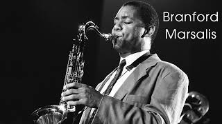 Branford Marsalis Greatest Hits  Branford Marsalis Best of  Branford Marsalis Full Album Live [upl. by Picardi201]