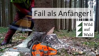 🌲Fällung Baum Diese Fehler solltest du niemals machen wildaufwald [upl. by Mingche]