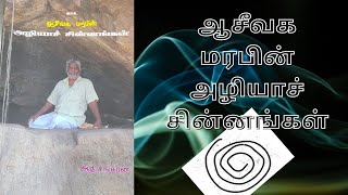 ஆசீவக மரபின் அழியாச் சின்னங்கள் [upl. by Rola188]